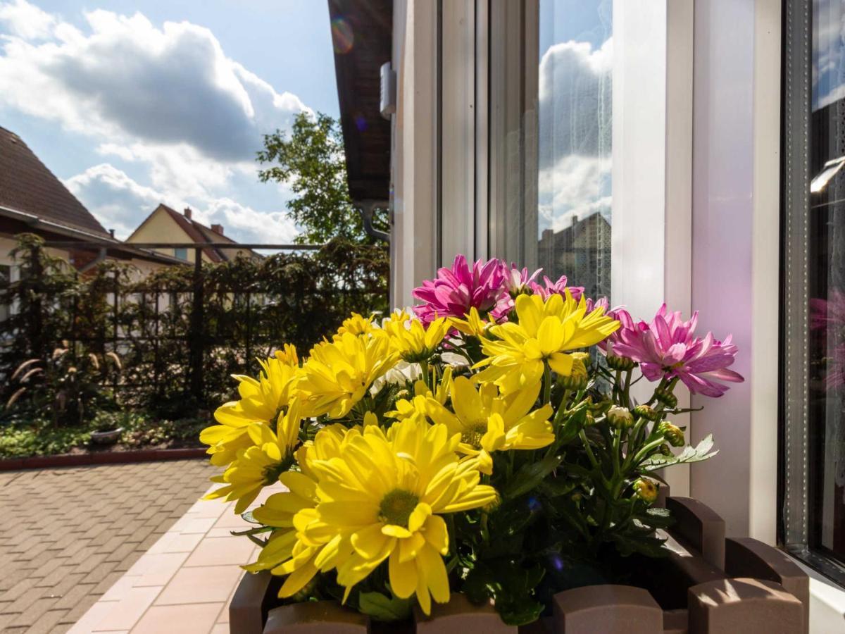 Ferienwohnung Schwarz Gademow 외부 사진